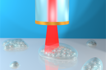 Ultrasonic imaging probe - Salvatore le Cavera