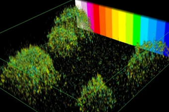 Nanosensing biofilms - by Veeren Chauhan