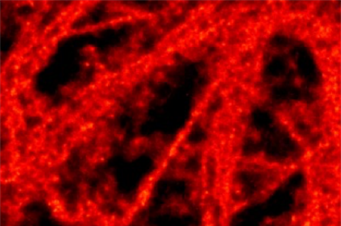 sandSTORM images of nanodiamond - Melissa Mather